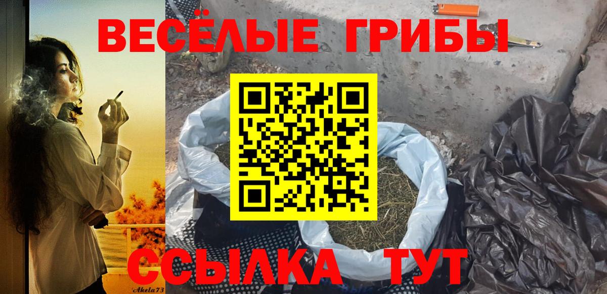 Корсаков  хочу   Вход с VPN  Галлюциногенные грибы GOLDEN TEACHER 